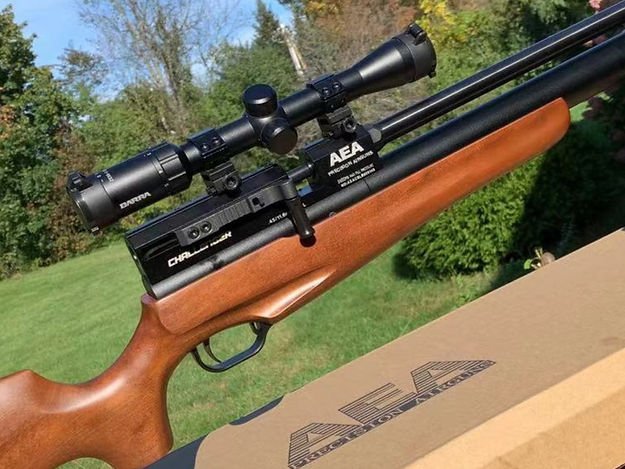AEA Precision Airgun Bigbore LS – High-Performance .357, .45, .50 & .510Cal for Precision Shooting and Hunting - Image 3