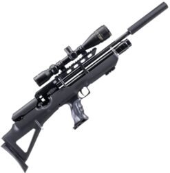 weihrauch hw100 bp deluxe kit