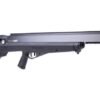 benjamin bulldog magnum series bullpup
